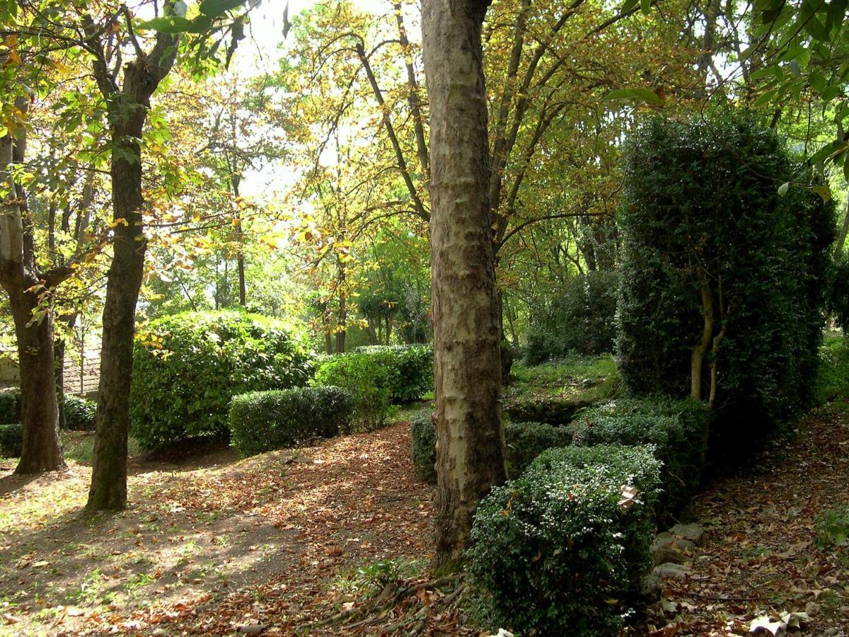 Domaine Du Parais B&B Sospel Buitenkant foto
