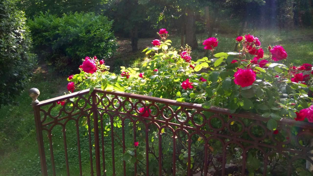 Domaine Du Parais B&B Sospel Buitenkant foto